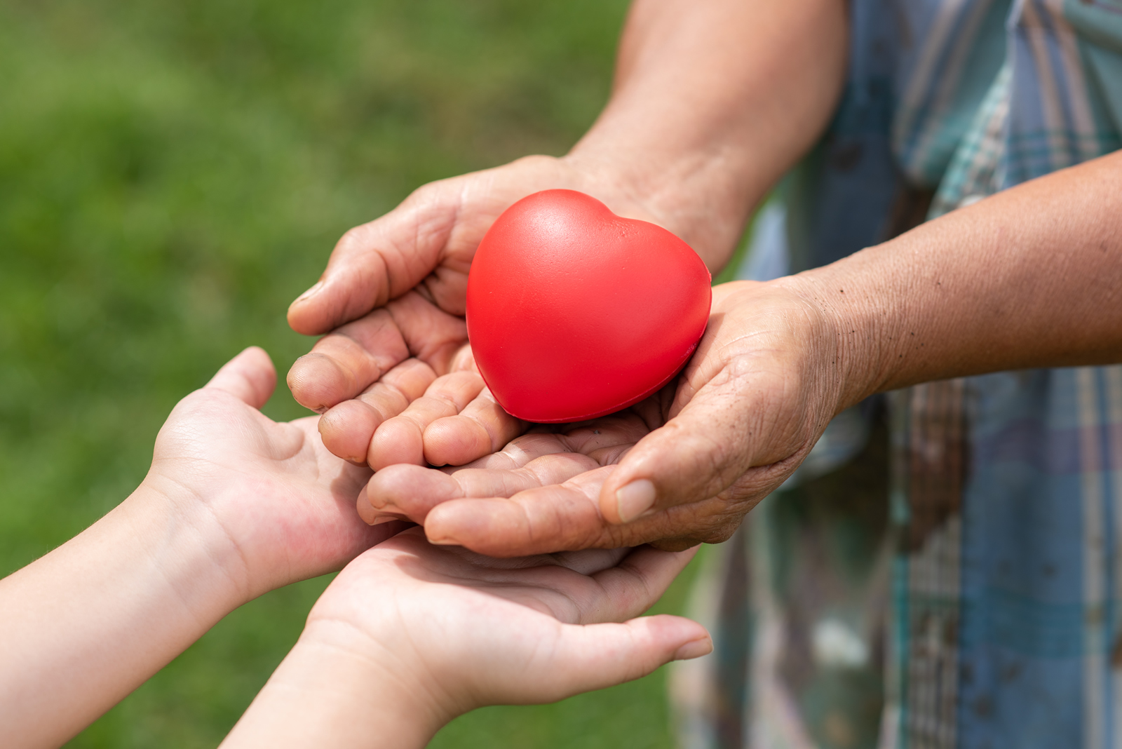 Pastoral Care